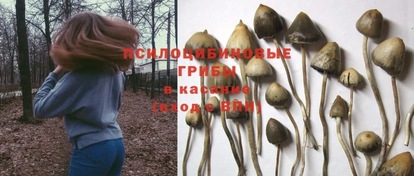 экстази Баксан