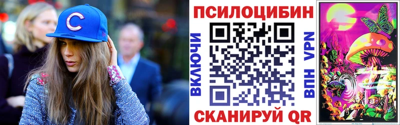 Галлюциногенные грибы Cubensis  цена наркотик  Козельск 
